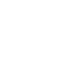 Icono vision